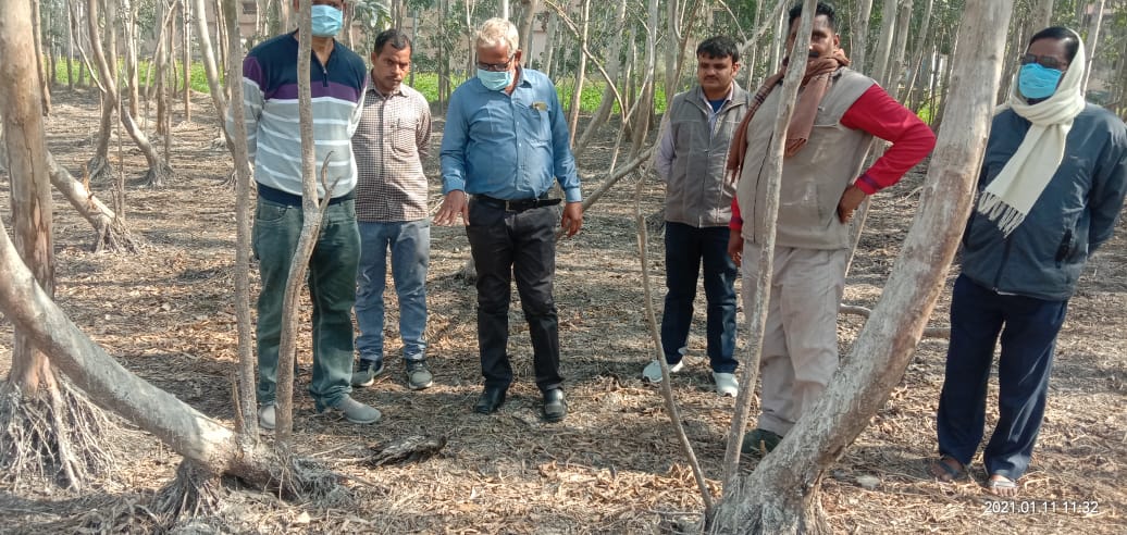 बलिया के नरहीं में पक्षियों के मरने की सूचना, बर्ड फ्लू का अंदेशा