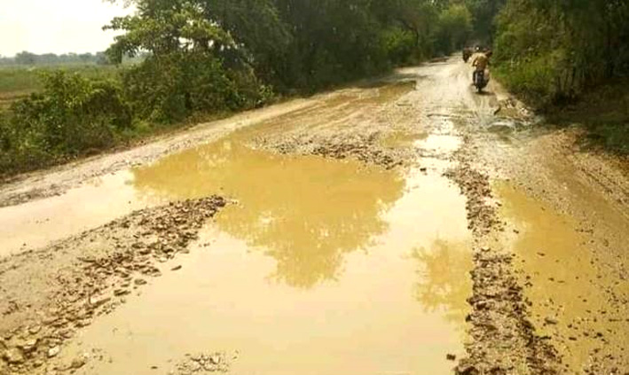 राष्‍ट्रीय राज मार्ग : एक साल में 30 किमी भी नहीं हो सकी एनएच-31 की मरम्मत